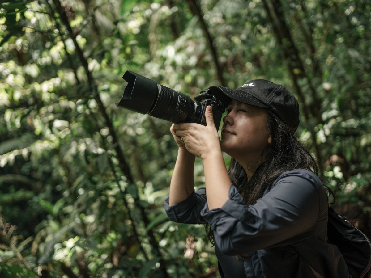 National Geographic Society migra su archivo histórico a la nube de AWS para acelerar su narrativa digital