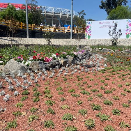 La Industria Mexicana de Coca-Cola participa en el Jardín de Lluvia Coapan, proyecto de infraestructura verde en Coyoacán que ayudará a gestionar hasta 300 millones de litros de agua al año.